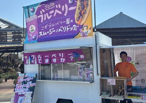 ブルーベリー狩り開園日変更のお知らせです
