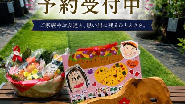 2026年のブルーベリー狩りご案内